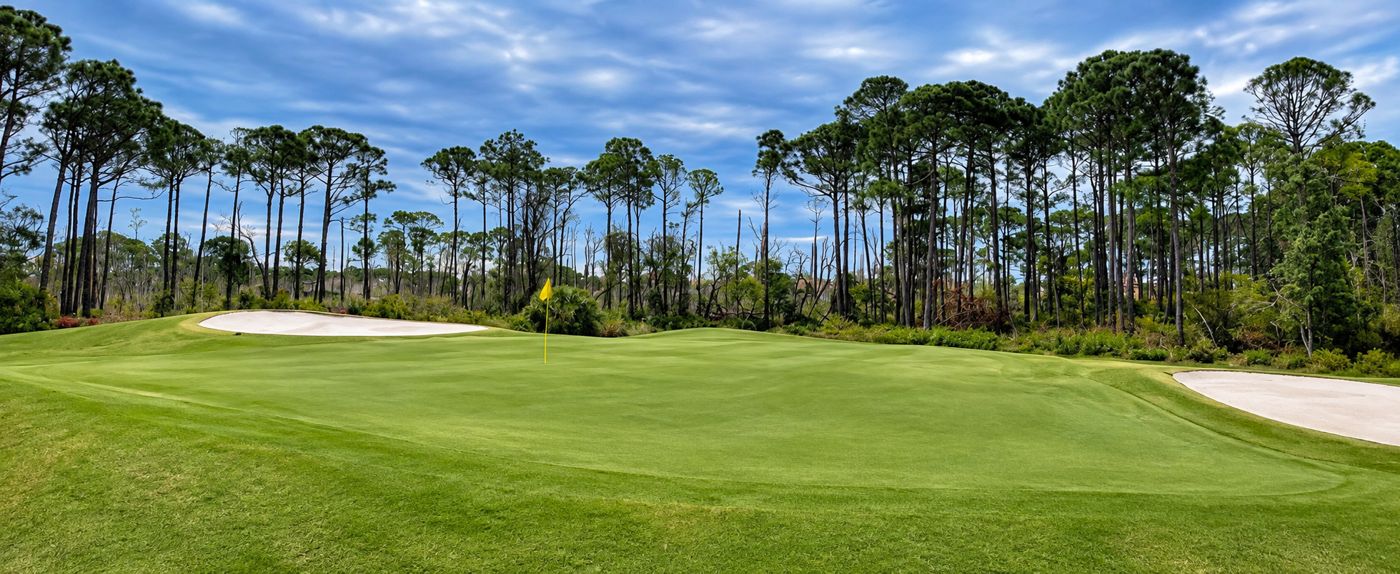 Green with a yellow flag framed by tall coastal pines