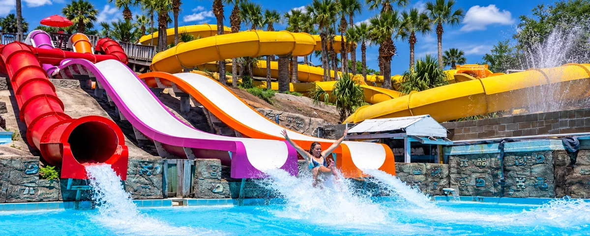 A rider splashing down a water slide into a pool, with red, purple and yellow slides behind
